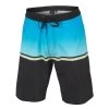Burnside Boys' Fade Boardshorts