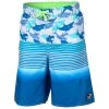 Laguna Boys' Summer Swim Shorts -Sports Wear Store 4720 13221 2100 408 zoom 02